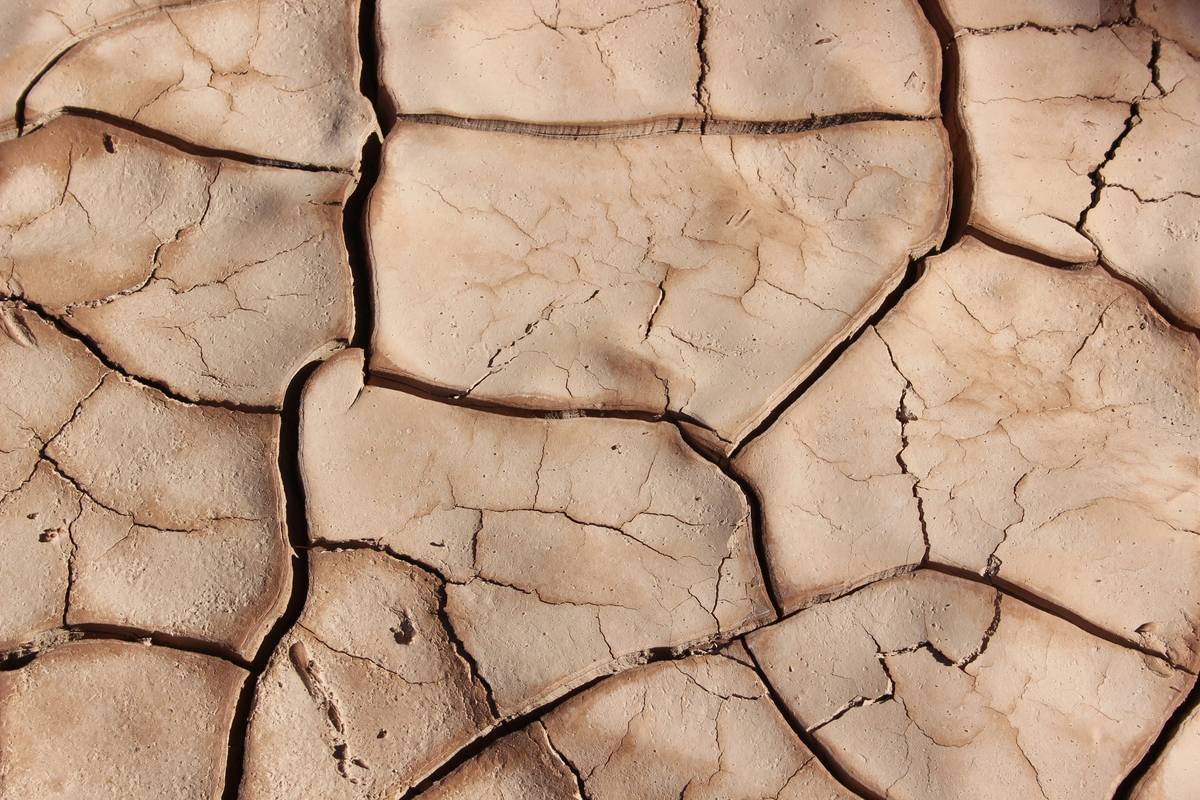 Dry Brushing for Lymph Nodes: The Overlooked Ritual That Actually Moves Fluid