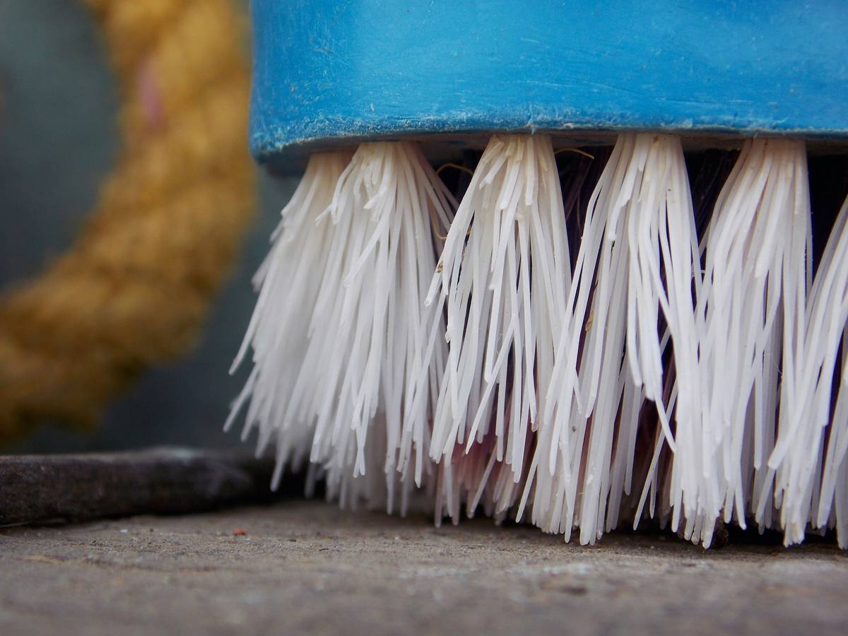 Close-up of dry brush exfoliation for body showing natural bristle texture on arm skin